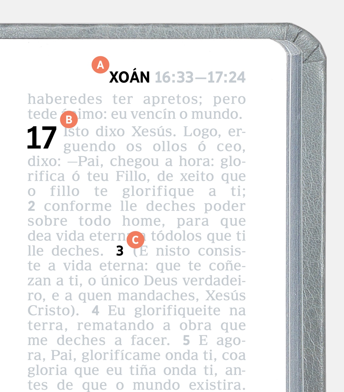 Etiquetas indicando as características A, B e C nunha páxina da Biblia.