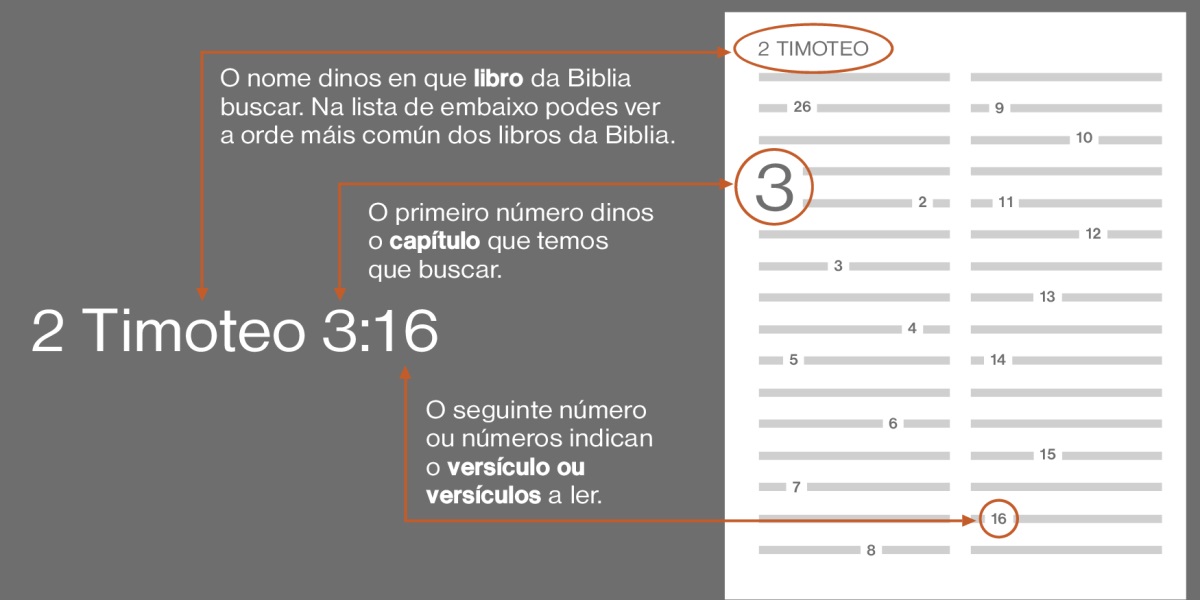 Libros da Biblia, capítulos e versículos