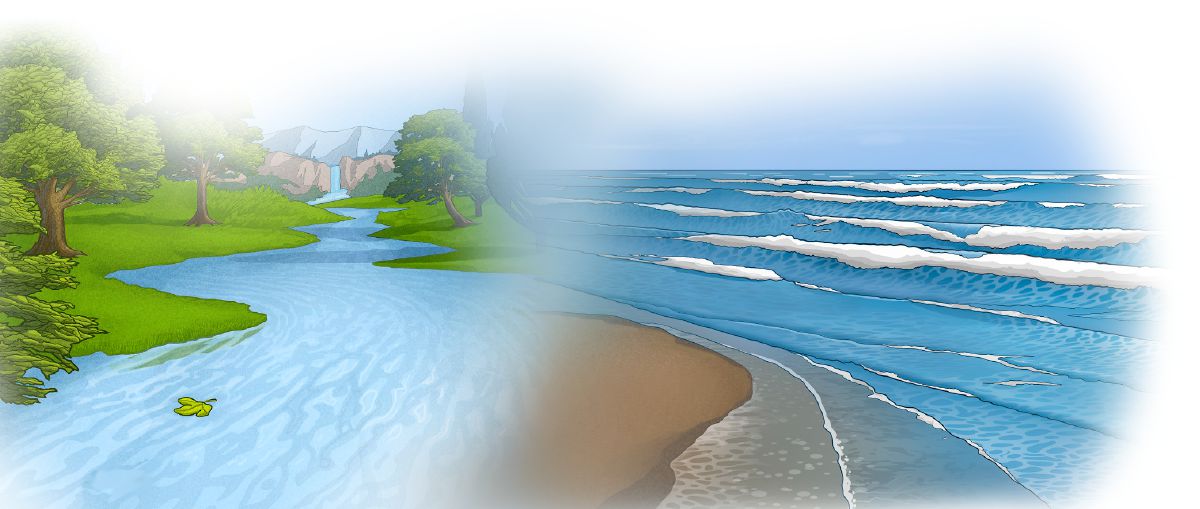 Un río que flúe e as ondas do mar