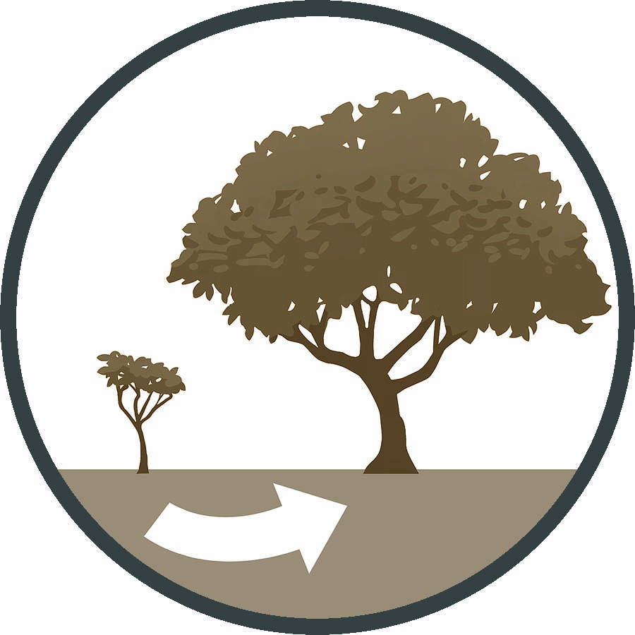 Un dos sacrificios de Babilonia foi o longo e custoso sitio de Tiro