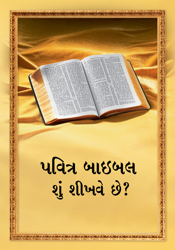 એક ખુલ્લું બાઇબલ અને “પવિત્ર બાઇબલ શું શીખવે છે?” પુસ્તકનો વિષય