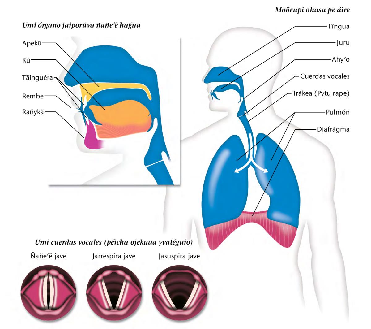 Informasión oĩva páhina 183-pe