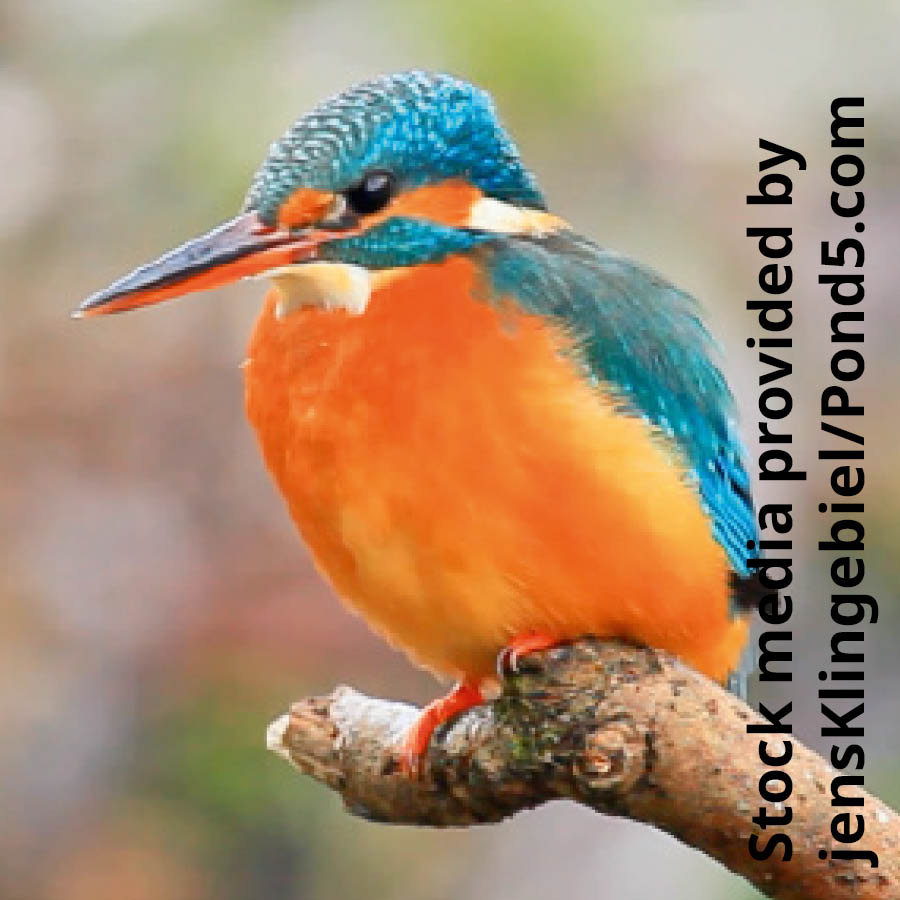 [Taʼanga oĩva páhina 7-pe]