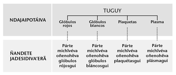 Informasión oĩva páhina 216-pe