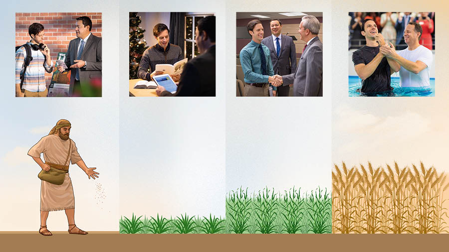 Taʼanga: Peteĩ plánta okakuaaháicha mbeguekatúpe, peteĩ estudiánte oprogresa avei mbeguekatúpe. 1. Peteĩ agrikultór omosarambi umi semílla. Peteĩ mitãkariaʼy ohendu porã peteĩ ermánope opredikáva hína karríto reheve. 2. Pe semílla heñói. Pe mitãkariaʼy ostudiáma la Biblia péro oreko gueteri peteĩ arvolíto de Navidad hógape. 3. Pe plánta okakuaavéma ohóvo. Pe mitãkariaʼy osaluda peteĩ ermánope rreunionhápe. 4. Pe plánta hiʼáma. Pe mitãkariaʼy ojevautisa.