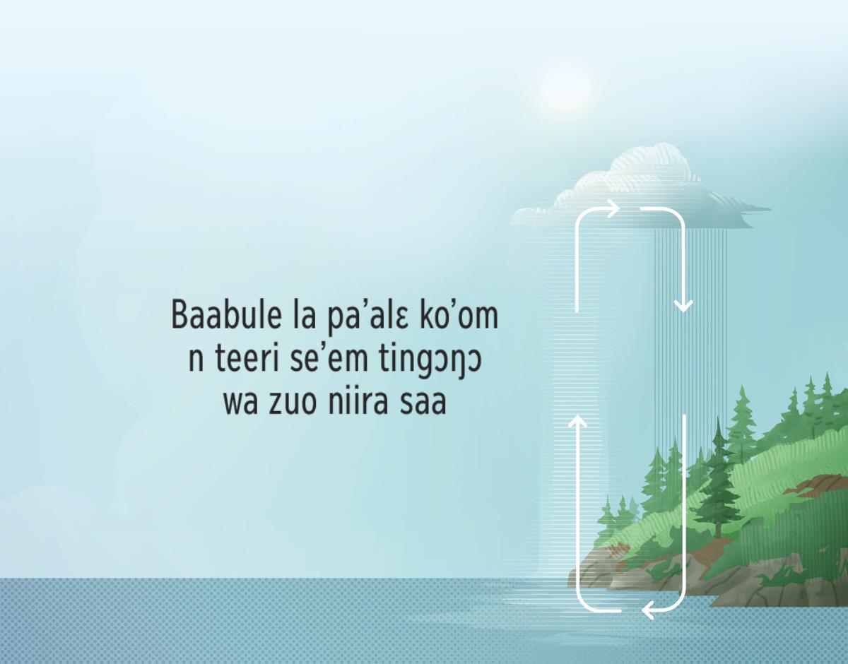 Baabule la pa’alɛ ko’om n teeri se’em tingɔŋɔ wa zuo niira saa. Dãalesum n pa’ali tingɔŋɔ wa zuo ko’om n teeri se’em tulege lebera saazuo.