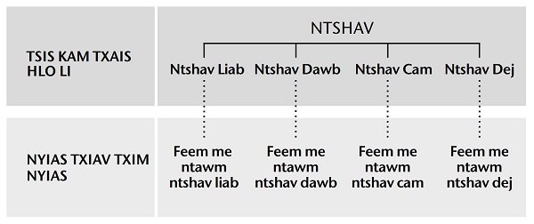 Muab ntshav faib tau ua 4 feem loj, thiab ua tej feem me