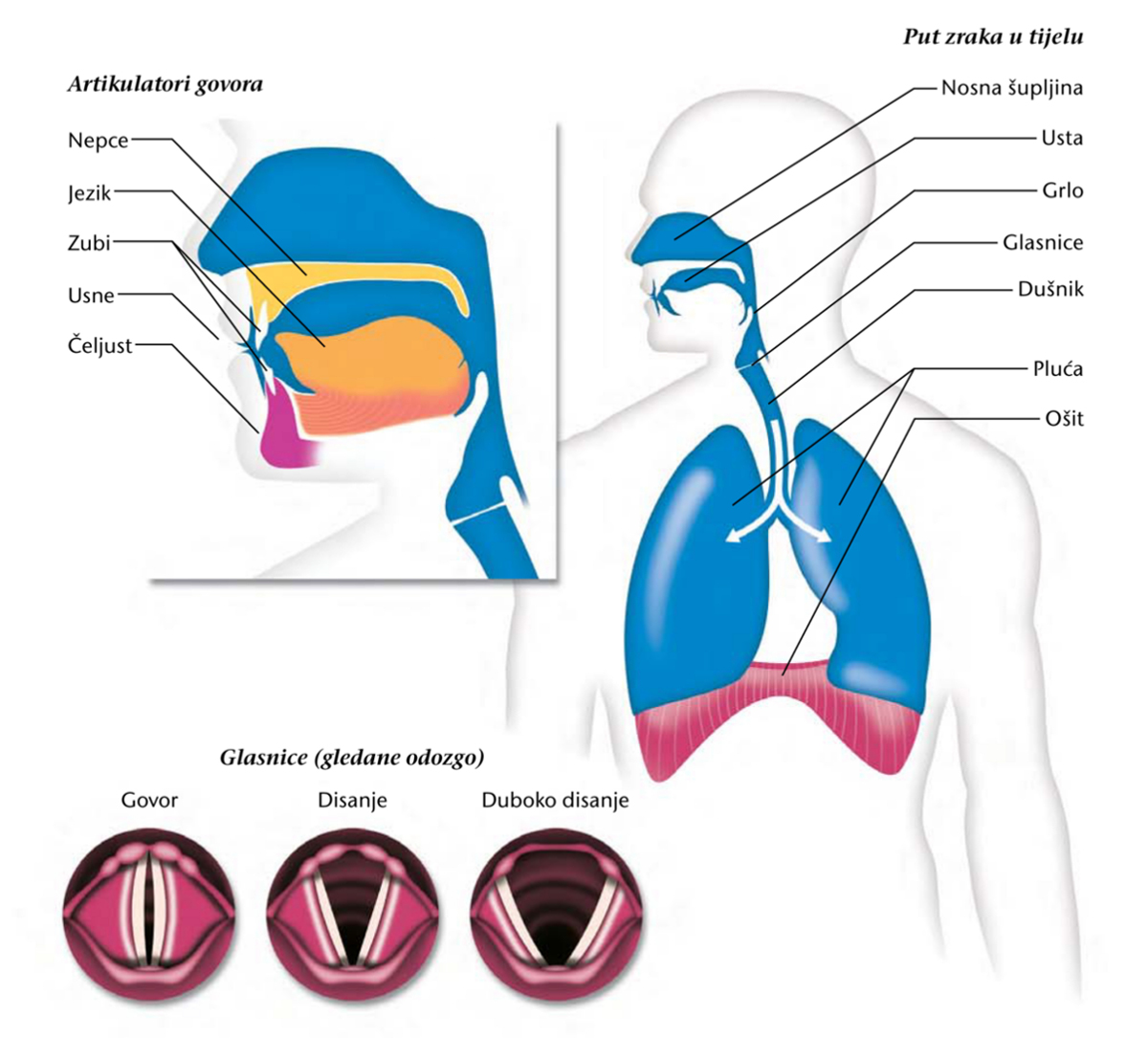 Grafički prikazi na stranici 183