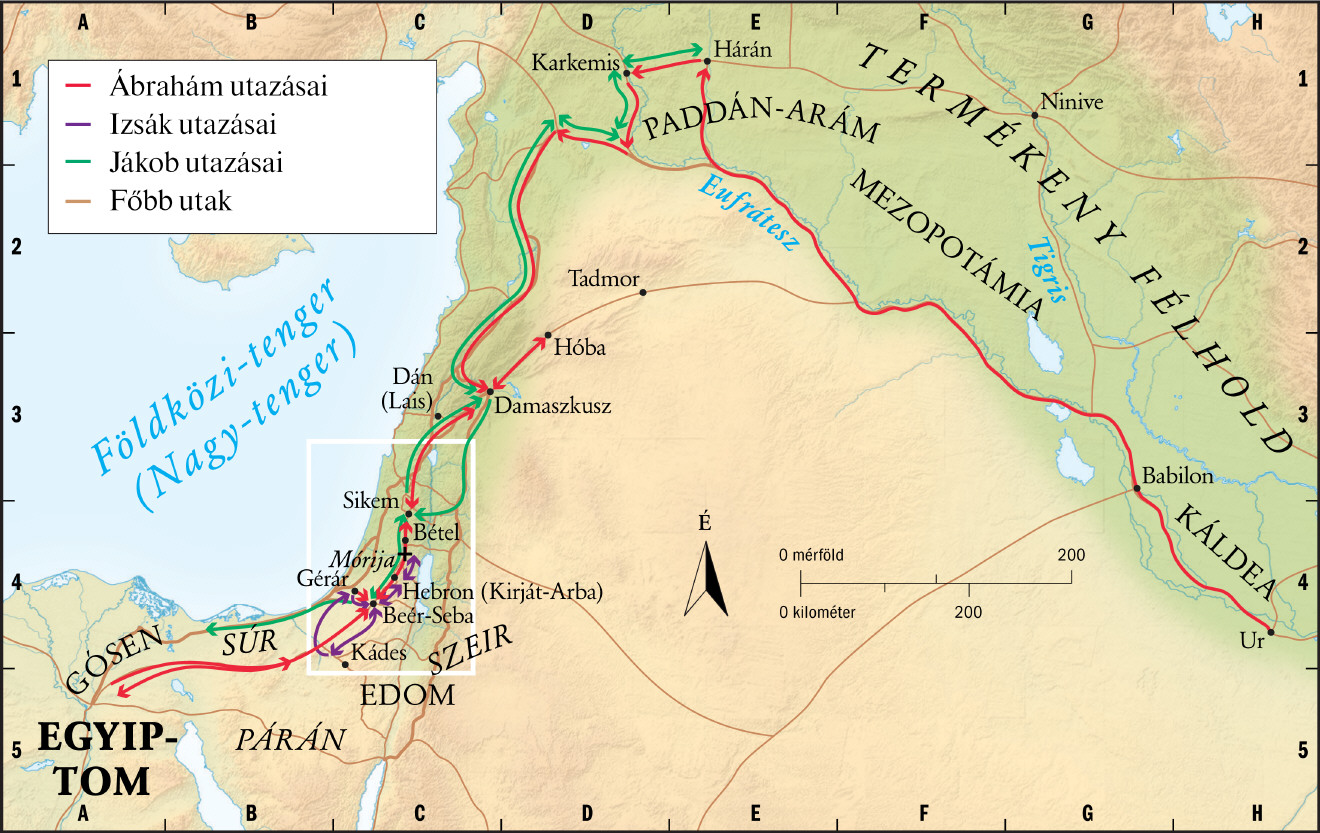 Patriarchák (áttekintés)