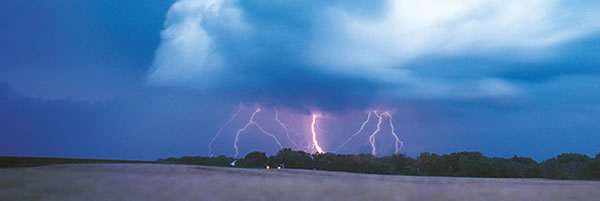 նկար 30-րդ էջի վրա