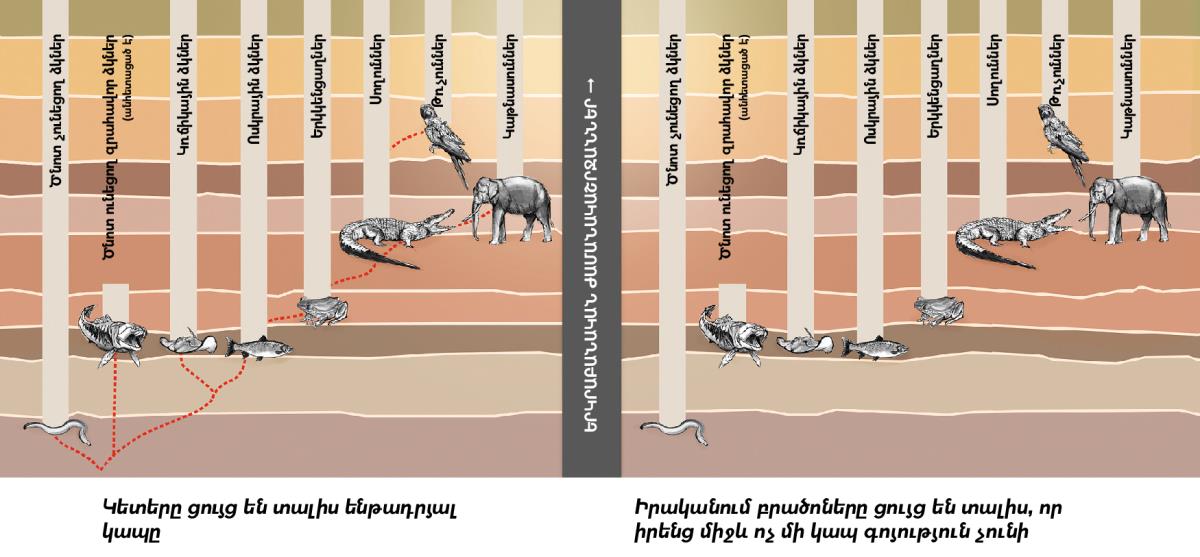 Տարբեր կենդանատեսակների միջև ենթադրյալ կապը