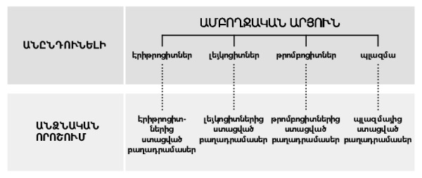 աղյուսակ 216-րդ էջի վրա