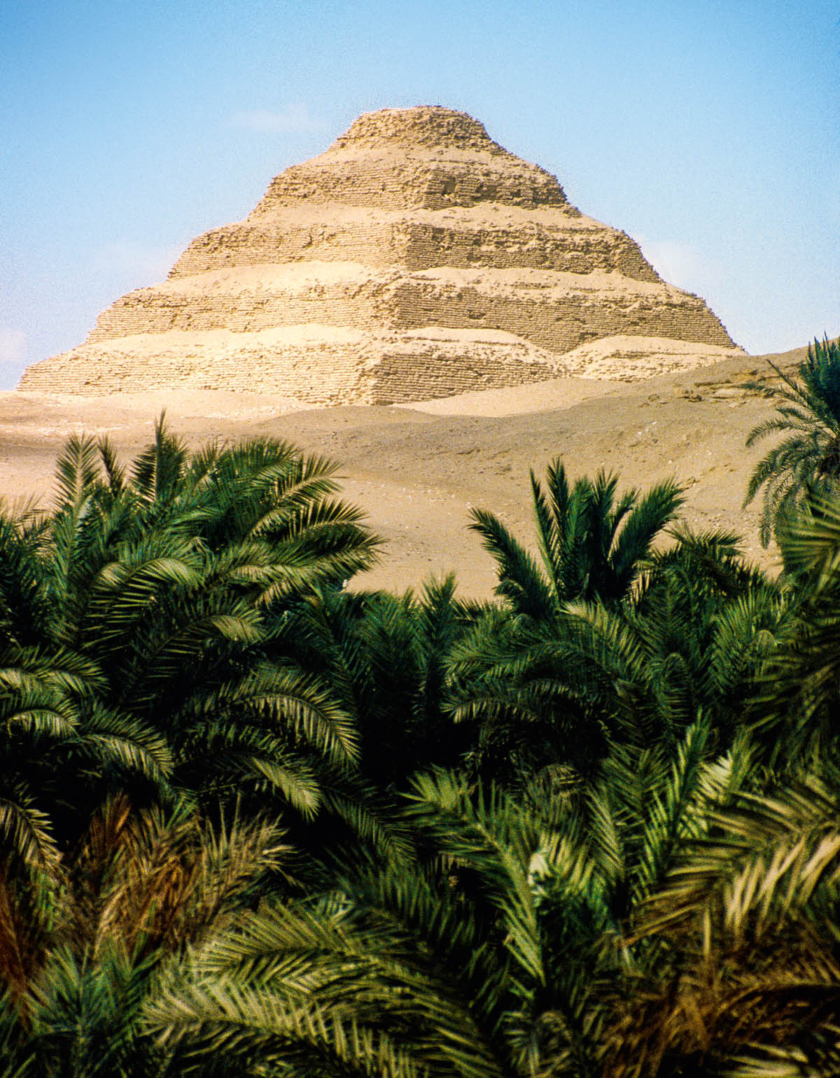 [Gambar di hlm. 530]