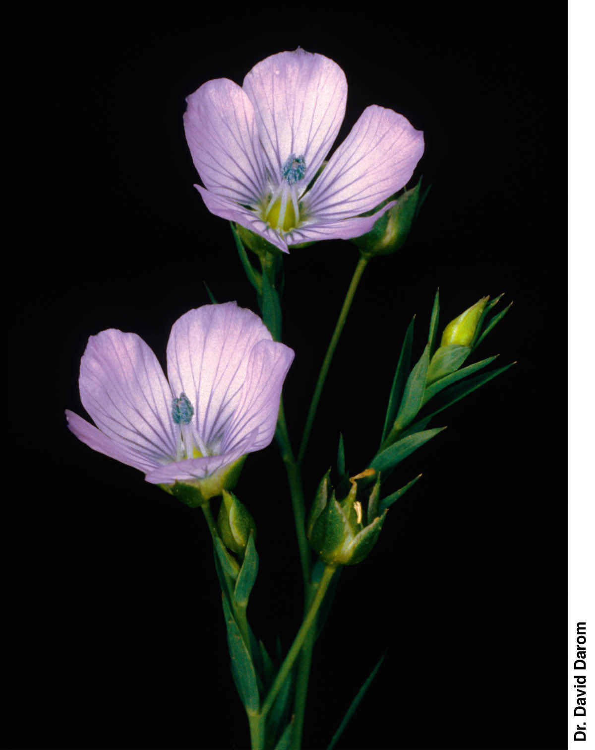 [Gambar di hlm. 544]