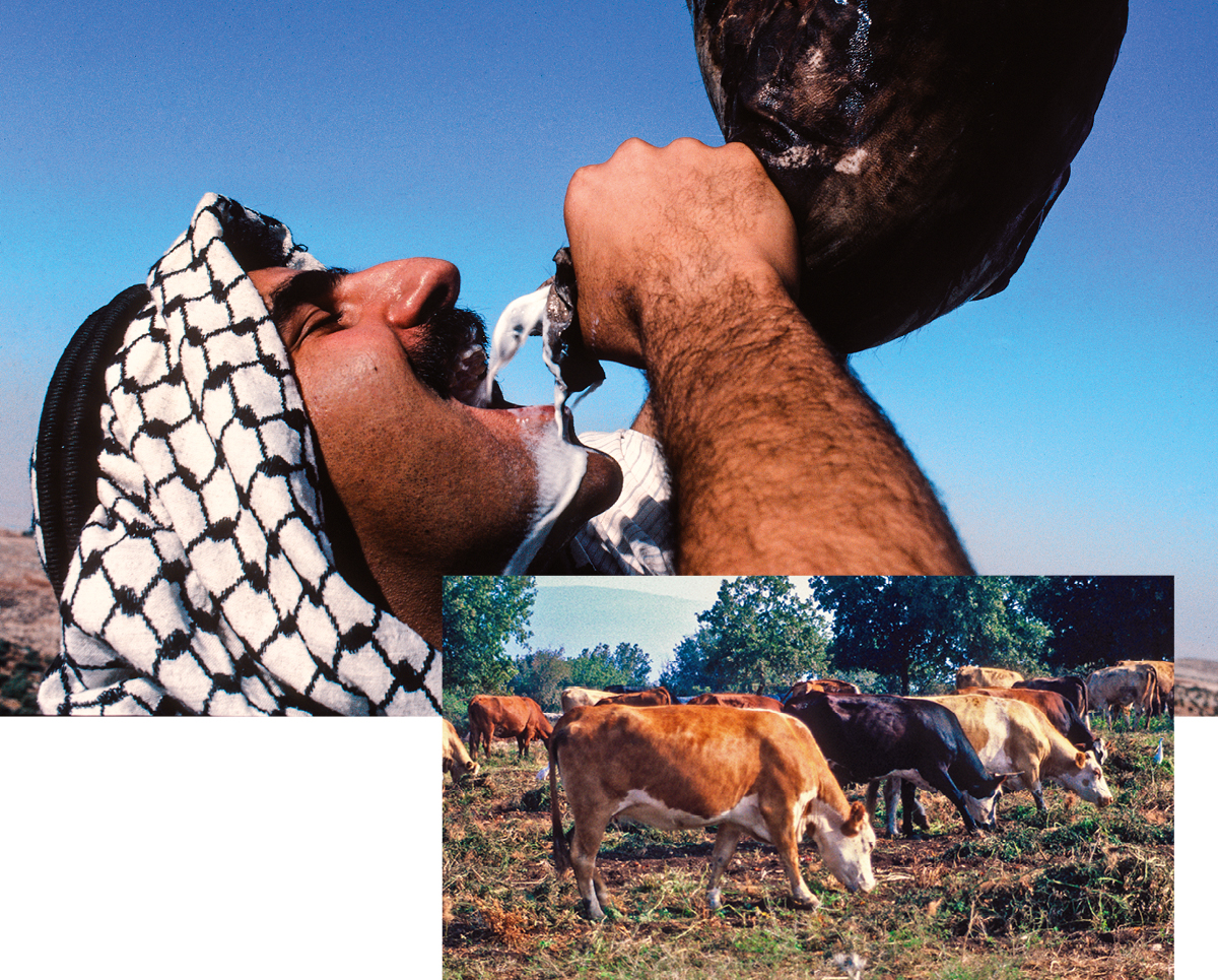 [Gambar di hlm. 740]