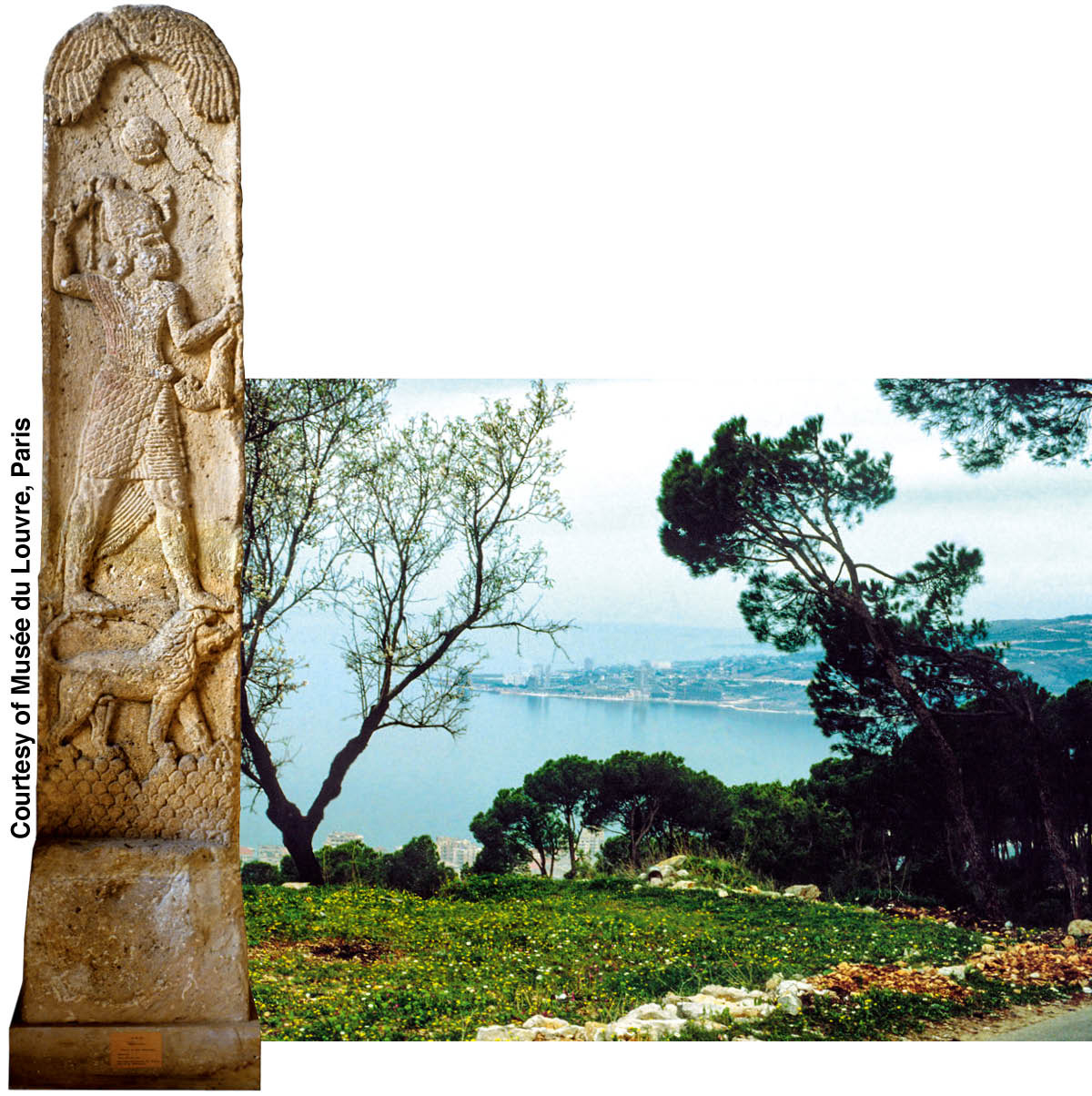 [Gambar di hlm. 946]