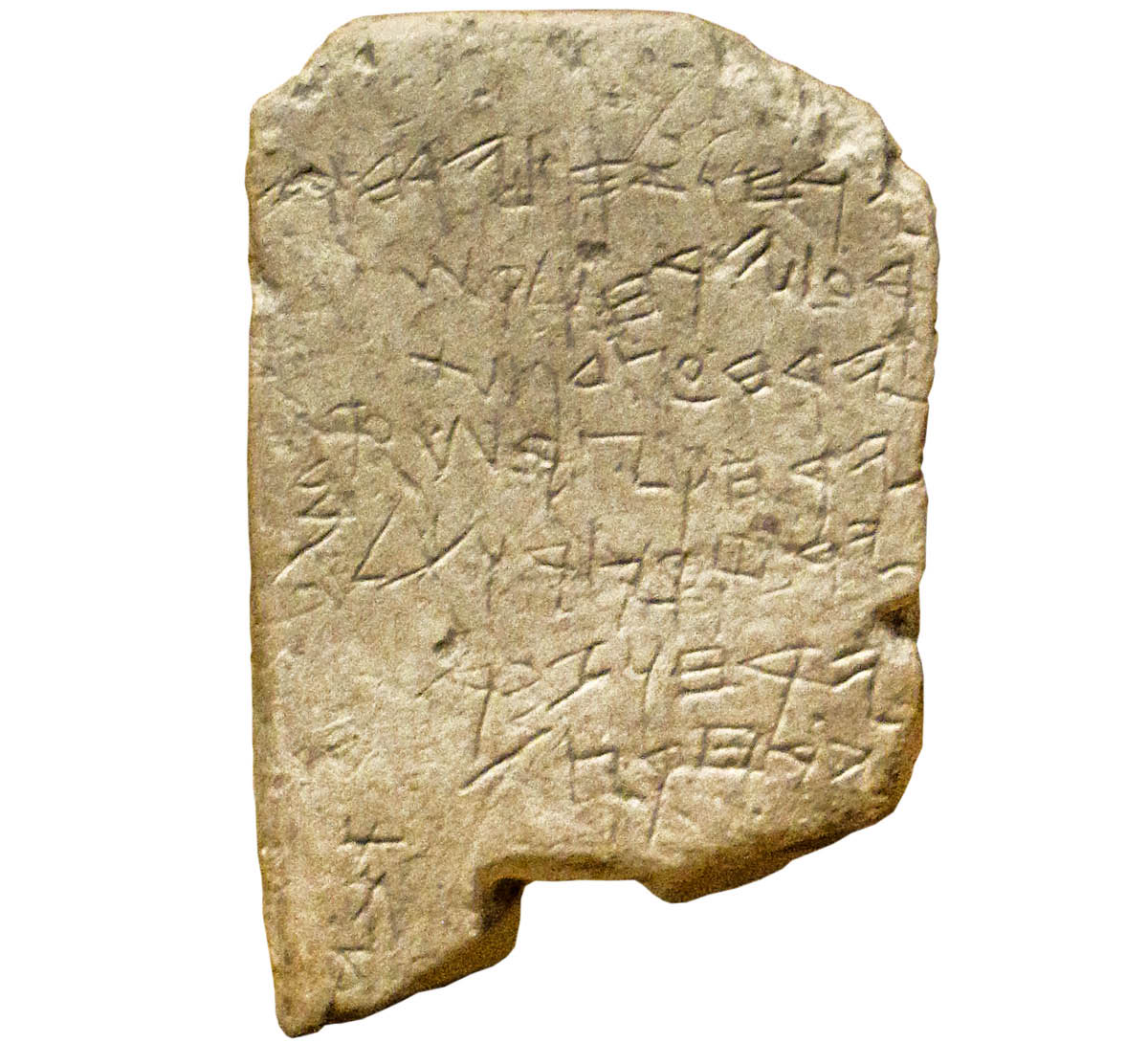 [Gambar di hlm. 960]