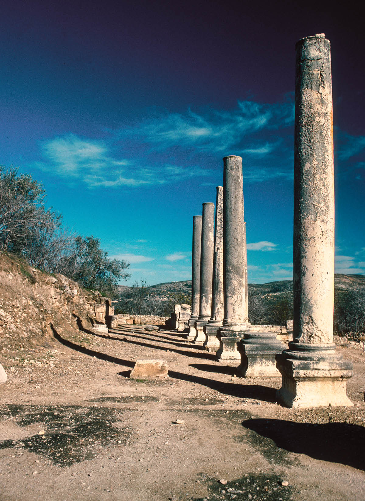 [Gambar di hlm. 535]