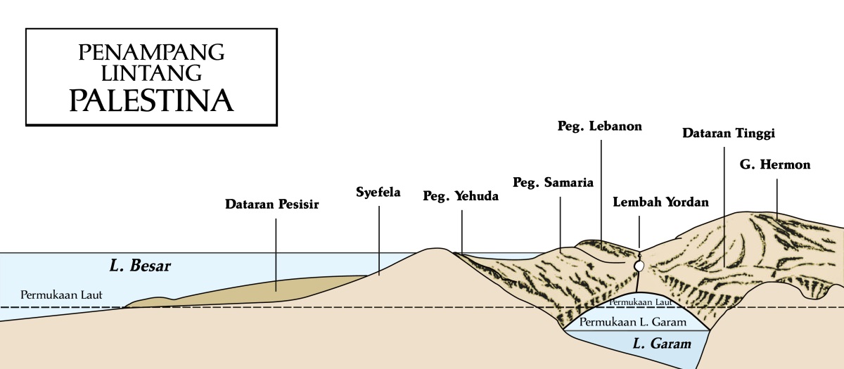 [Diagram di hlm. 271]