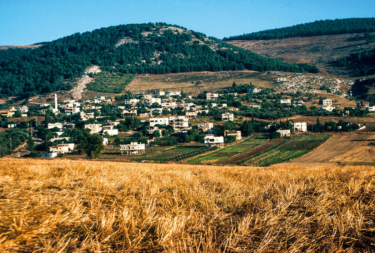 [Gambar di hlm. 738]