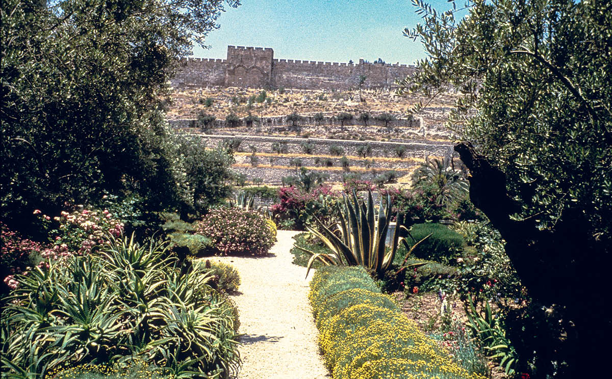 [Gambar di hlm. 950]