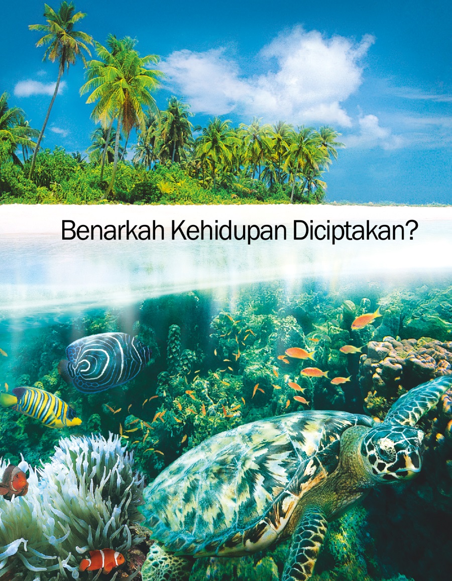 Benarkah Kehidupan Diciptakan?