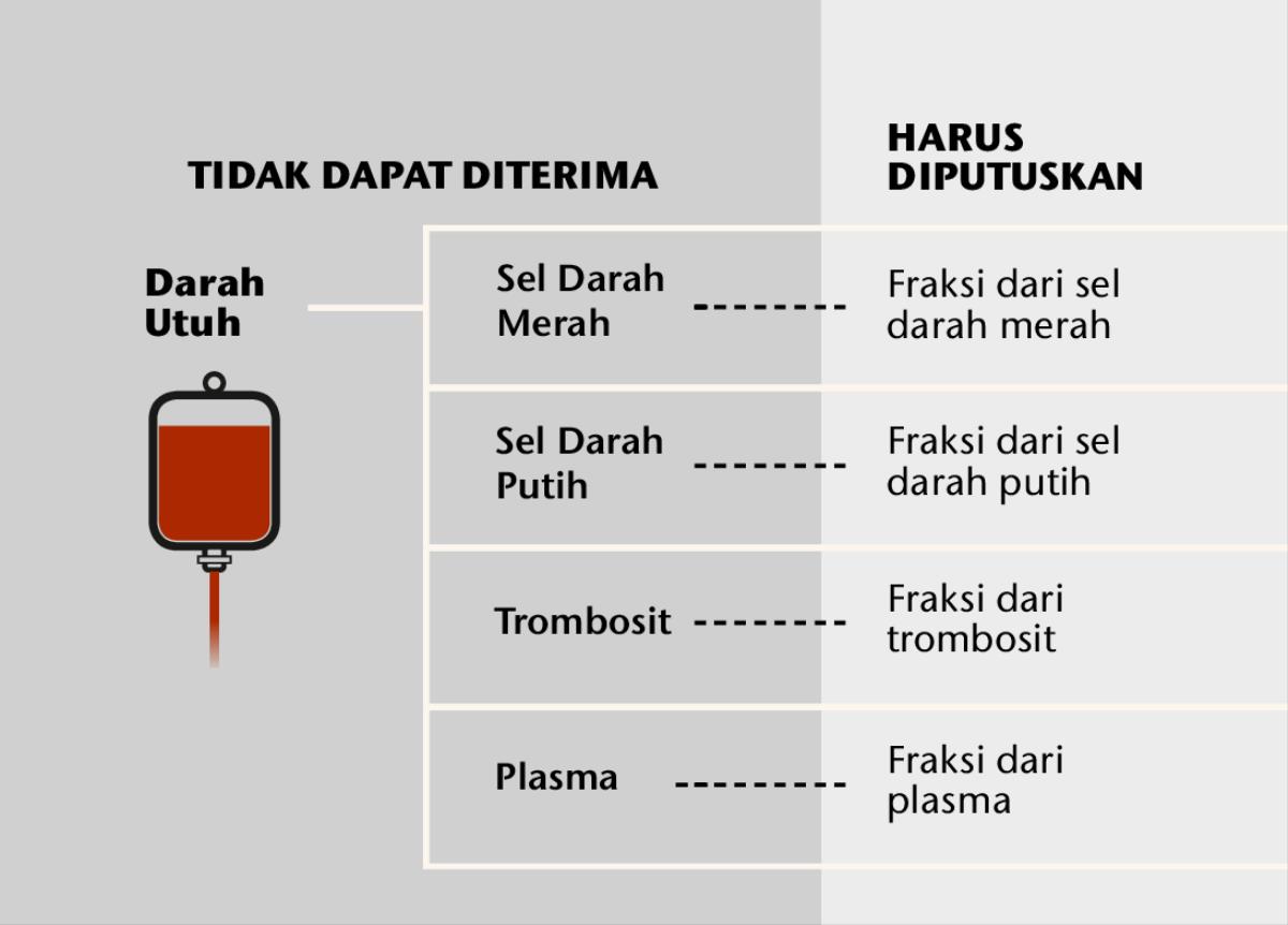 Darah, keempat bagian utamanya, dan fraksi darah