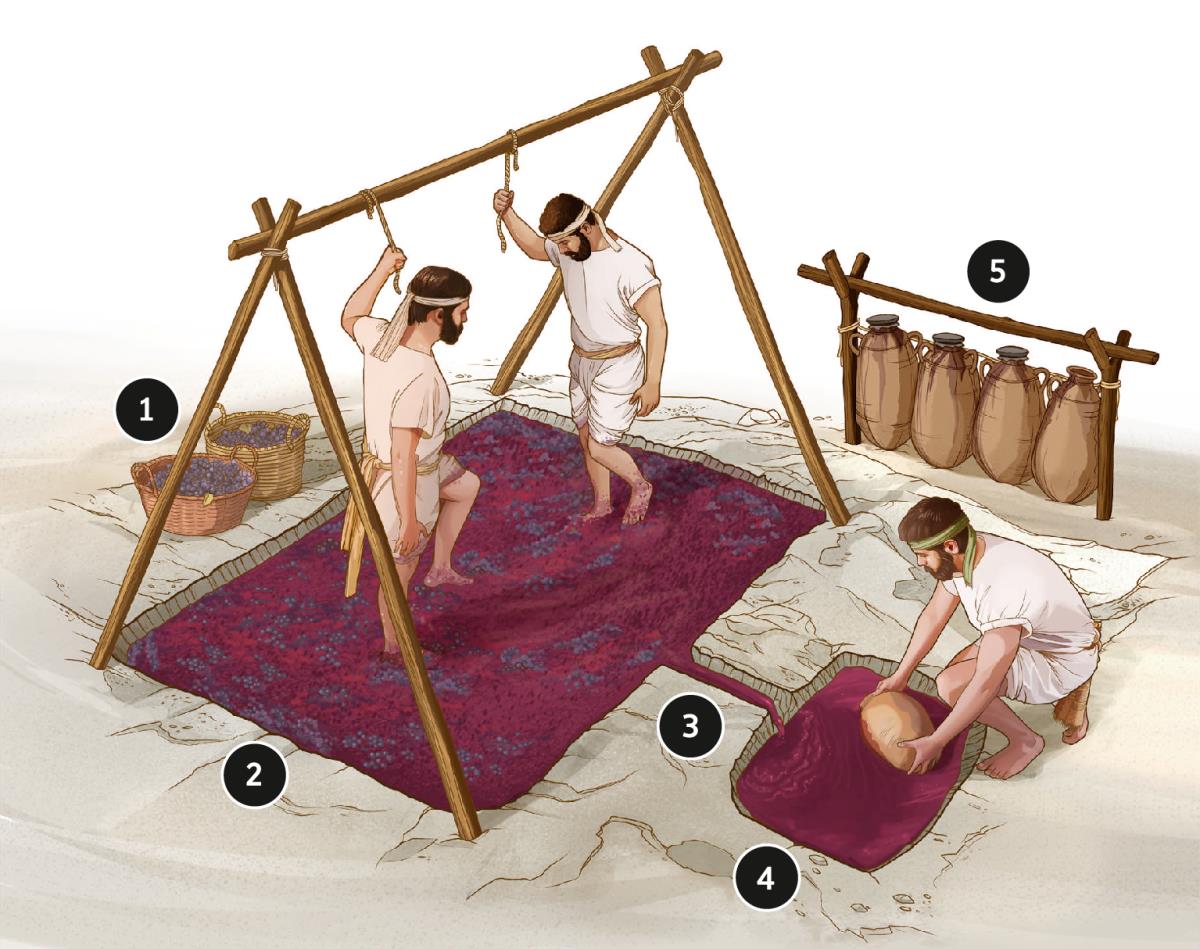 Tempat Pemerasan Anggur