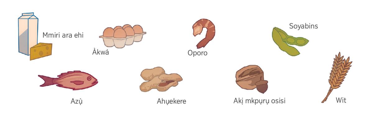 Mmiri ara ehi, àkwá, oporo, soyabins, azụ̀, ahụekere, akị mkpụrụ osisi, na wit