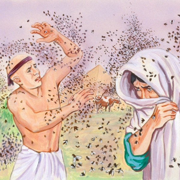 Ebe ndị Ijipt na-achọ ka ha gbaara odudu ọsọ n’ihe otiti nke anọ