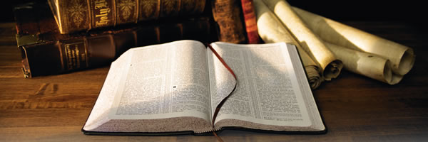 [Foto dị na peeji nke 3]