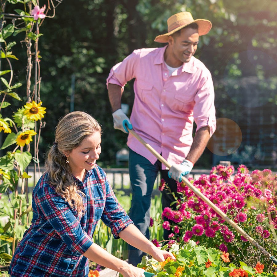 A couple working in their garden.