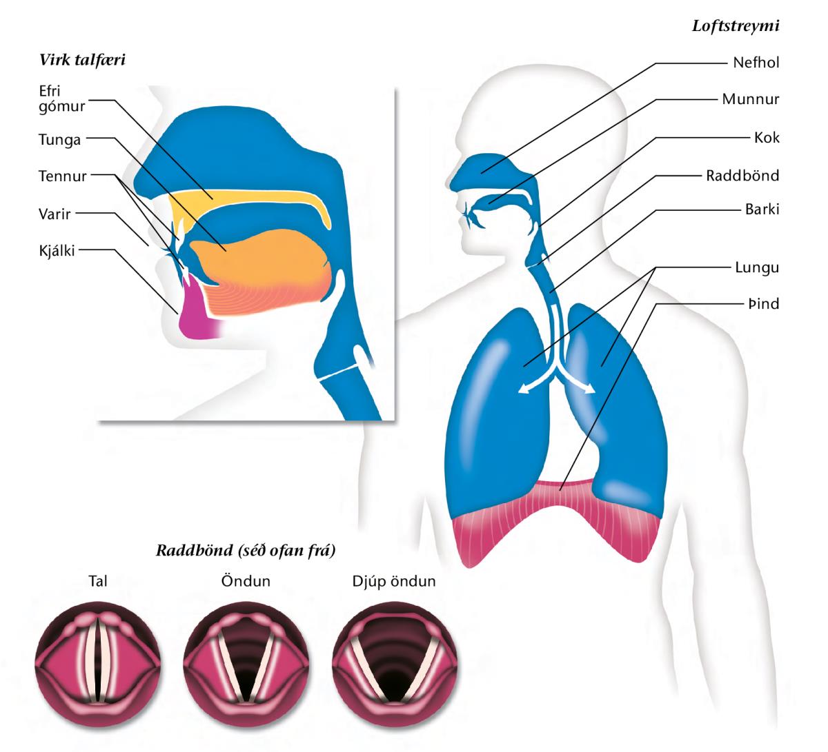 Skýringarmynd á blaðsíðu 183