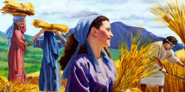 Fólk á biblíutímanum safnar korni.