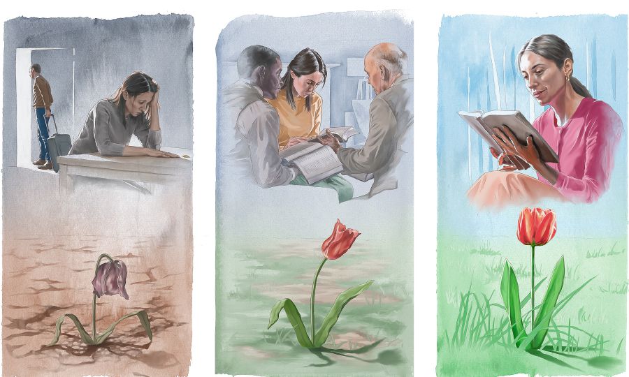 Systir er niðurbrotin þegar eiginmaður hennar fer frá henni, öldungarnir heimsækja hana, hún finnur huggun í Biblíunni.