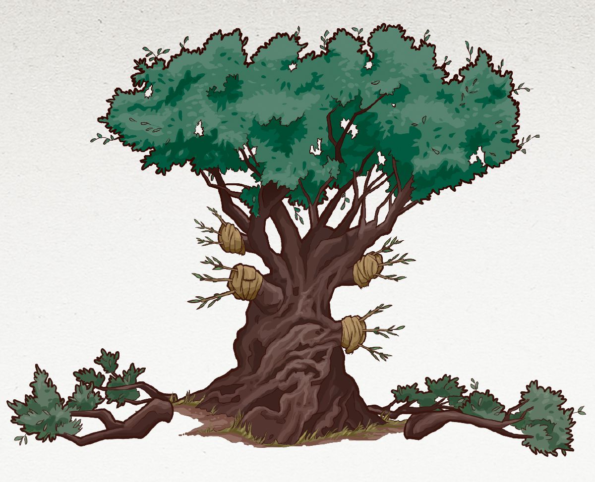 Ọne oran olive nan rẹ lu arẹkhọkhọ bhi uhọnmhọnlẹn 11 bhi ebe nọnsi Romans