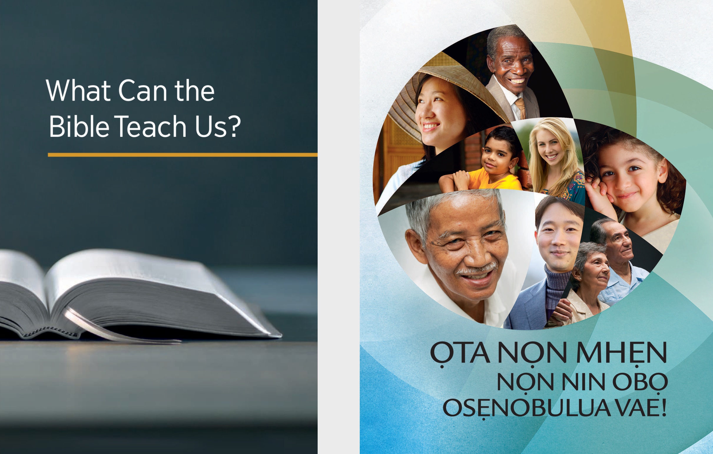 The book ‘What Can the Bible Teach Us?’ and the brochure ‘Good News From God!’