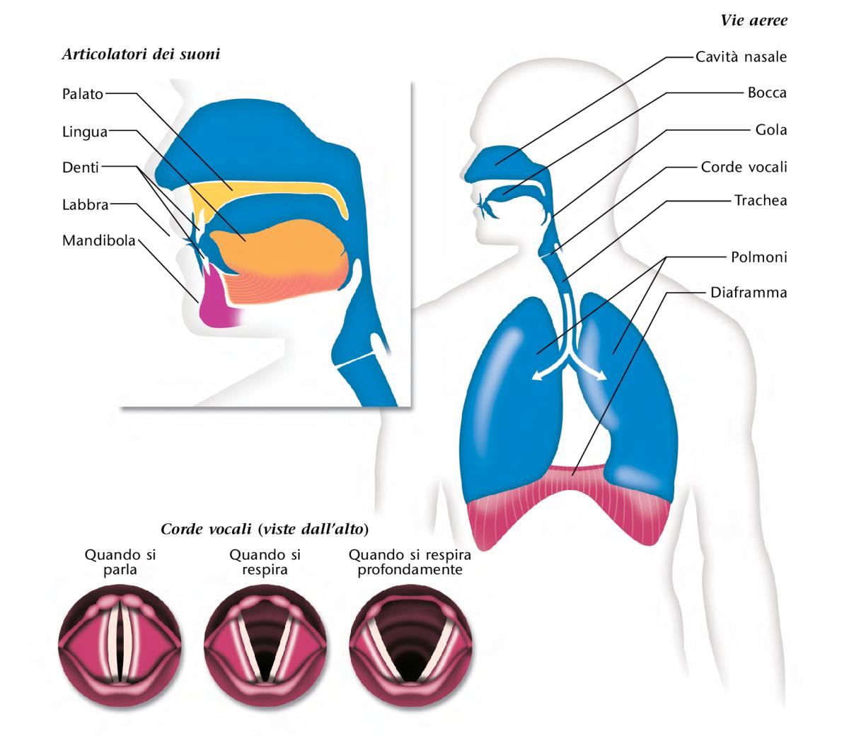 Diagrammi a pagina 183