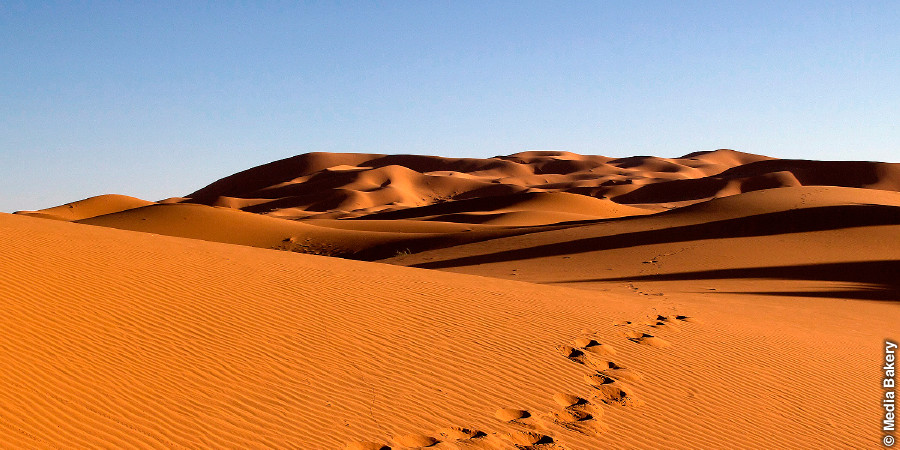 Deserto del Sahara