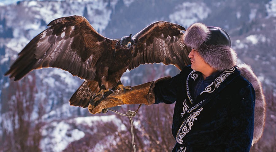 Un’aquila con un cappuccio sulla testa appoggiata al braccio di un uomo