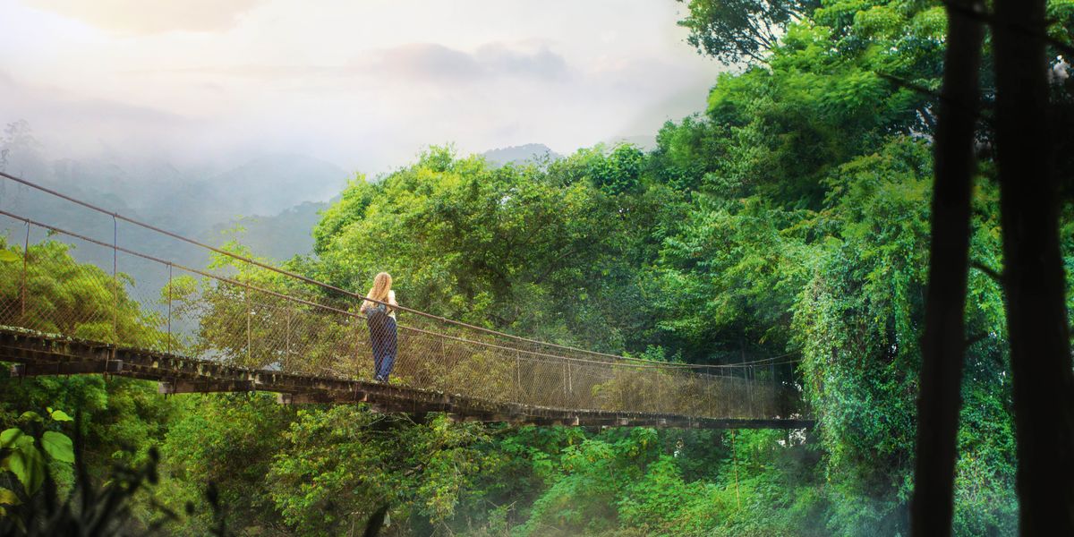 Una donna cammina su un ponte sospeso in una foresta pluviale.