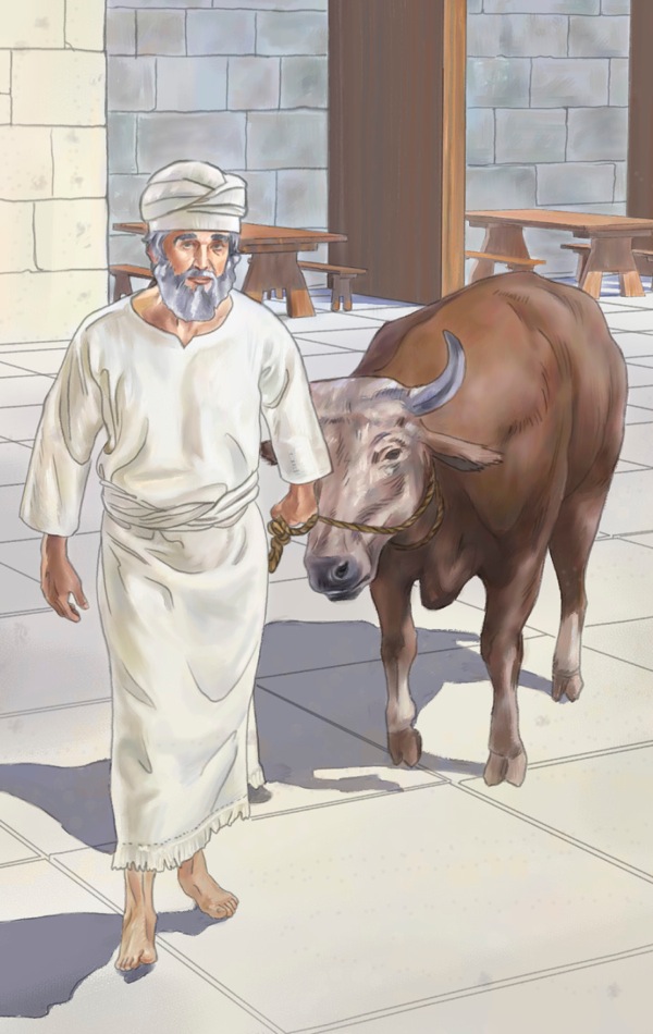 Sacerdote nell’antico Israele porta un sacrificio animale all’altare