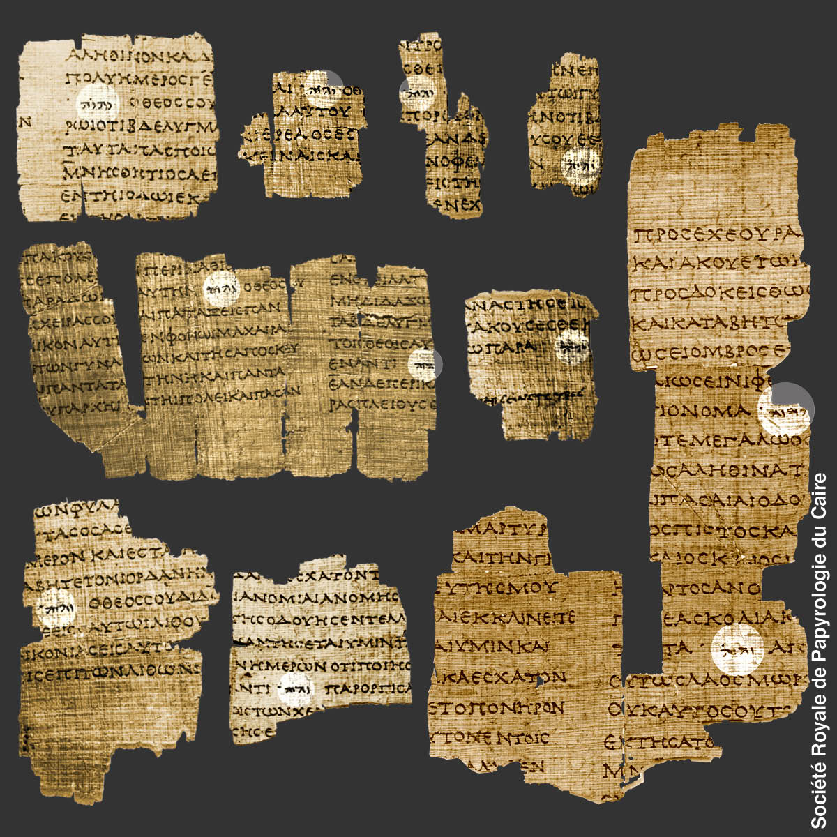 Immagini a pagina 326]