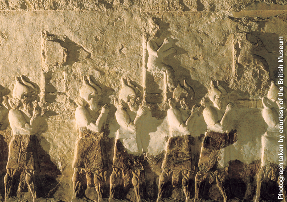 [Immagine a pagina 233]