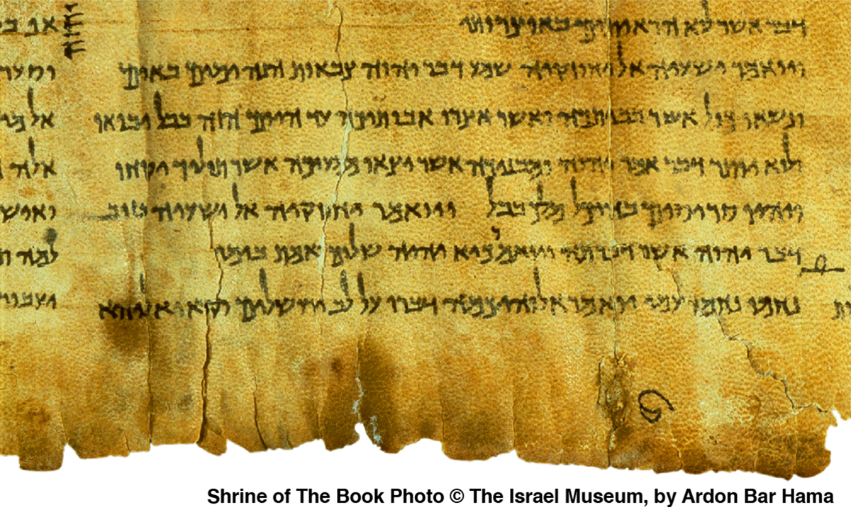 [Immagine a pagina 322]