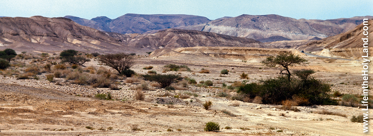 [Immagine a pagina 383]