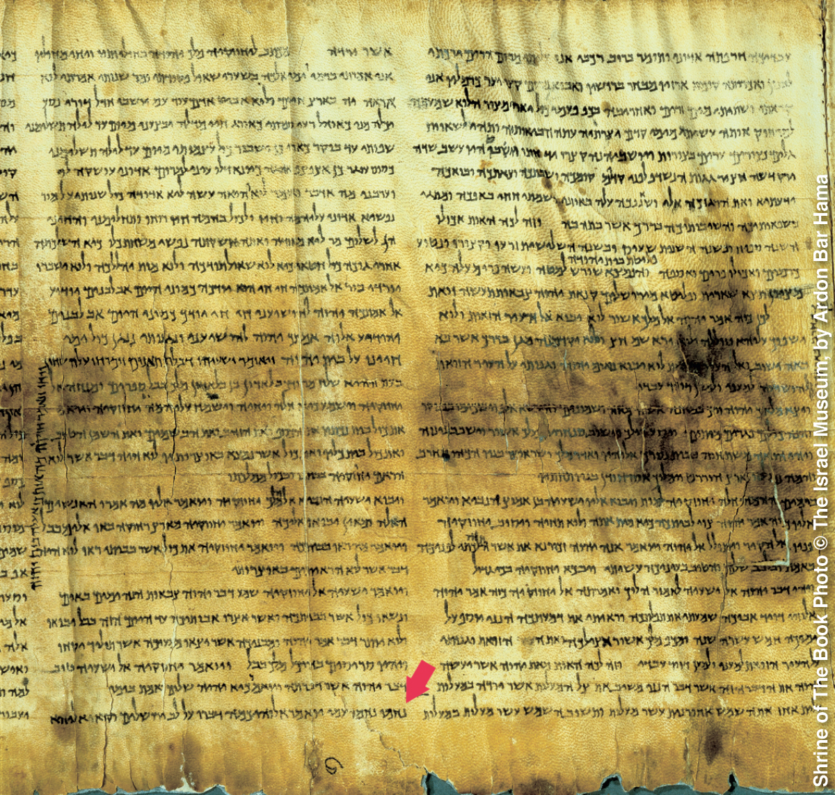 [Immagine a pagina 54]