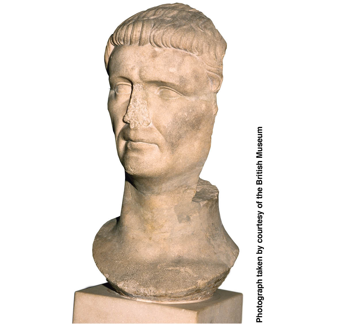 [Immagine a pagina 534]