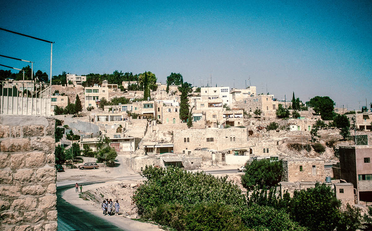 [Immagine a pagina 950]