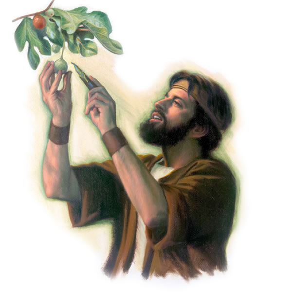 Illustrazione a pagina 18